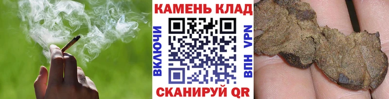 продажа наркотиков  Кудрово  Гашиш индика сатива 