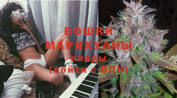 прущие грибы Костерёво