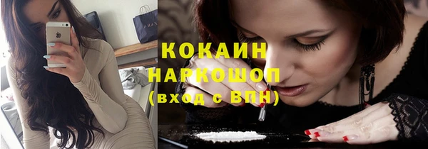 прущие грибы Костерёво