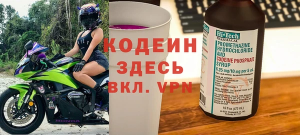 прущие грибы Костерёво