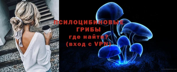 прущие грибы Костерёво