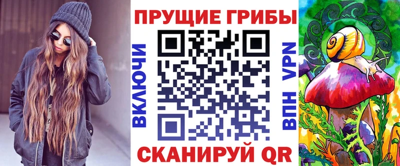 как найти   Кудрово  Галлюциногенные грибы Psilocybine cubensis 